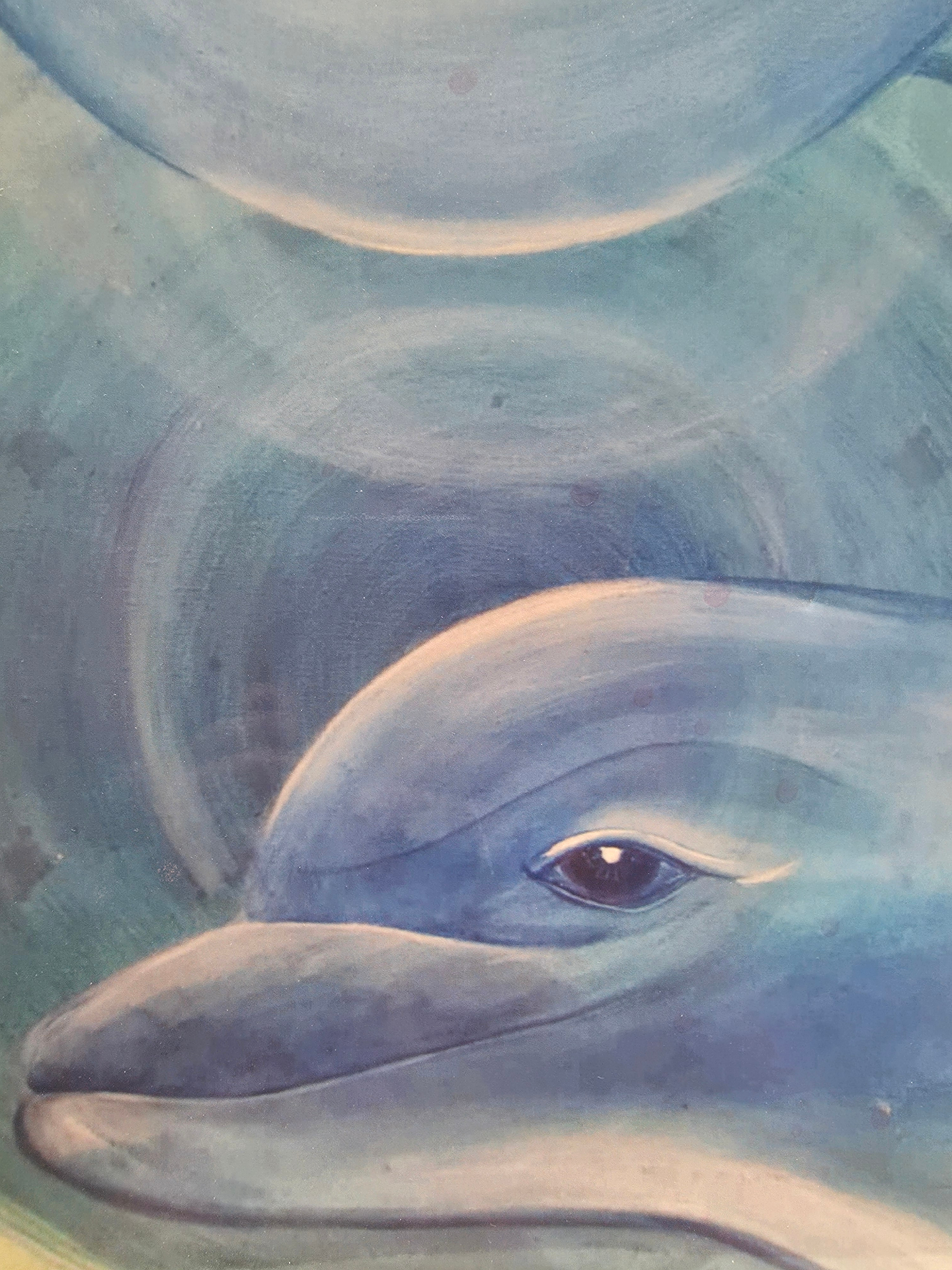 SHE Art by Toryn — Delfinernas Sång